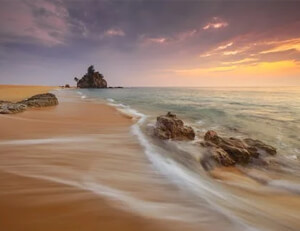 热门比赛现场气氛火爆，球迷热情高涨——赛场魅力与城市夜色共振