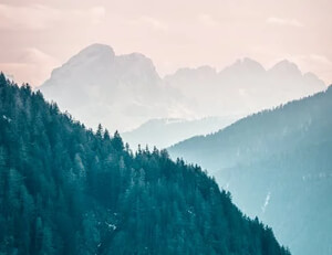 西班牙队小胜晋级,备战下一轮比赛